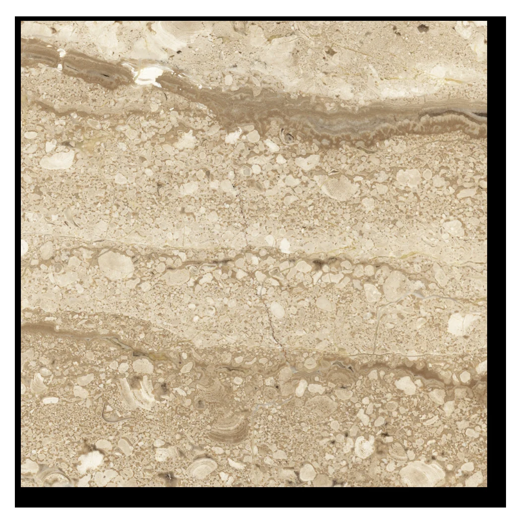 Muestra de Daino Reale